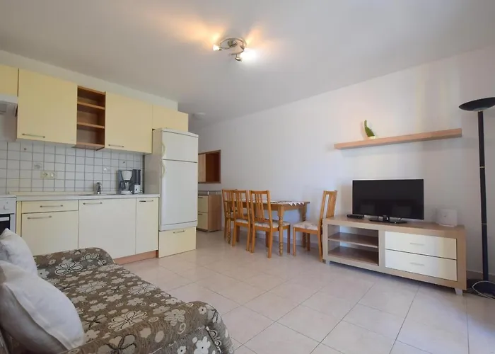 アパート Marjolovic ニヴィーチェ